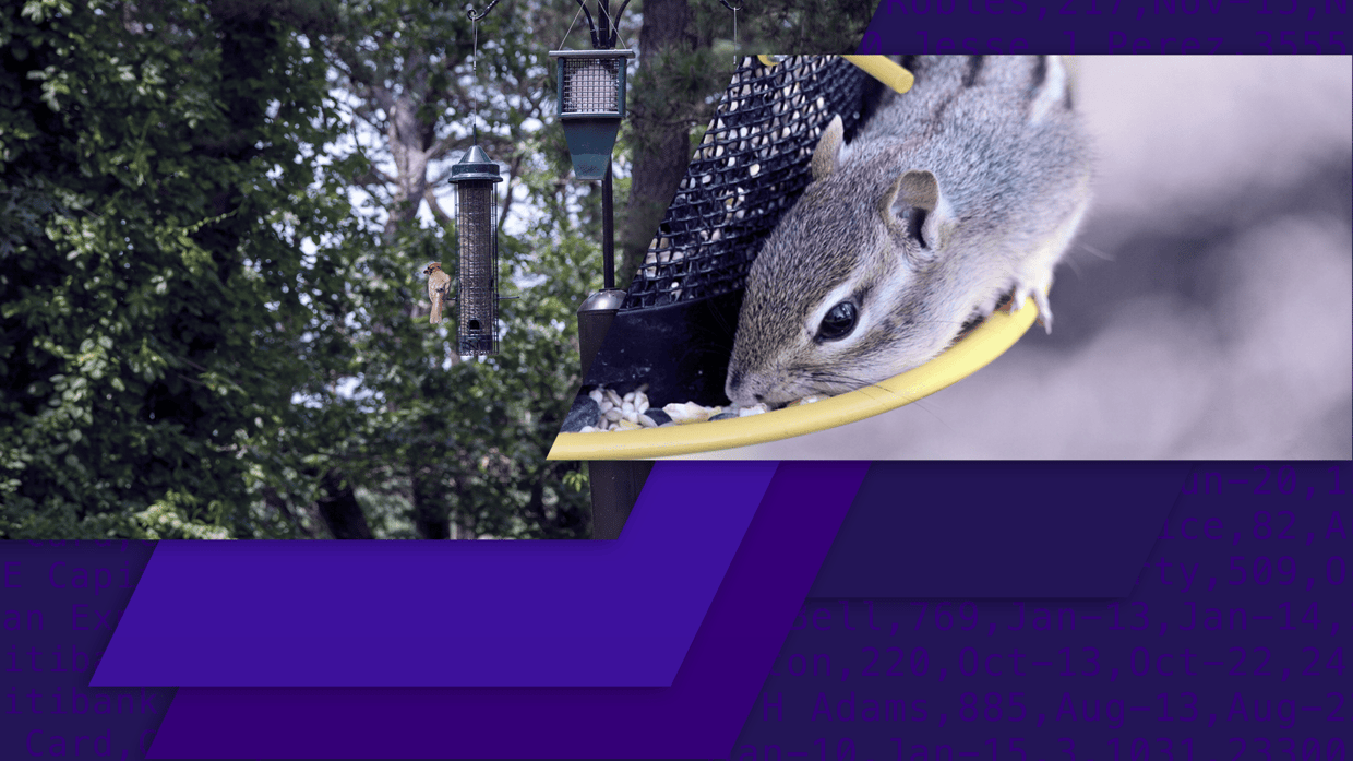 An image of a chipmunk stealing bird feed next to another image of a small bird eating from a feeder.