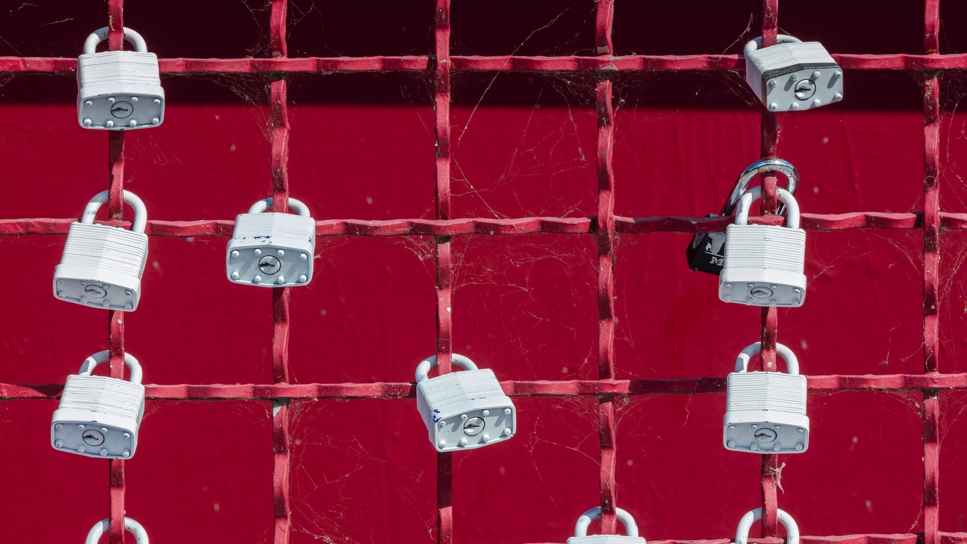 Grey padlocks affixed to a red metal grid fence